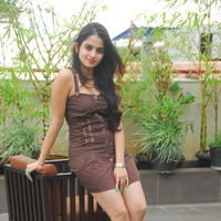 Actress Sheena Shahabadi latest Photos | Picture 46652
